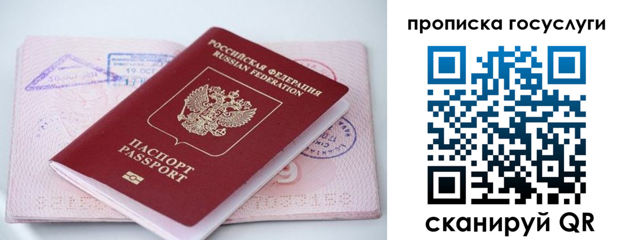прописка законно в Цимлянске